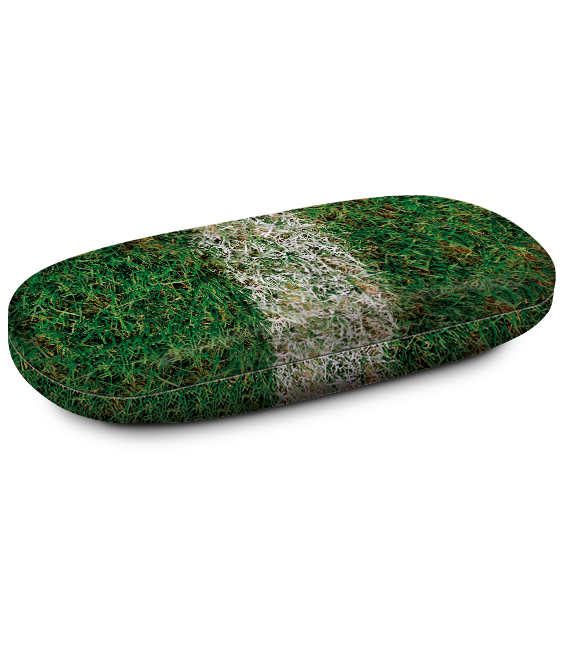 Brillenkoker-degrasmat_01 Brillenkoker-degrasmat_01