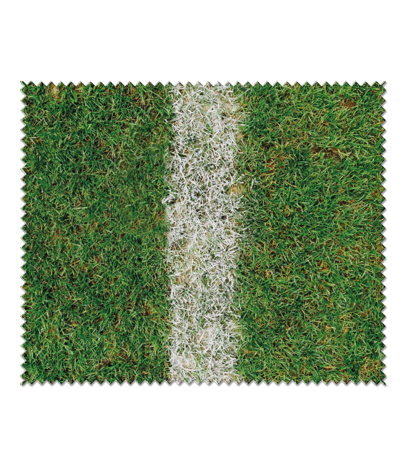 Brillenkoker-hetrugnummer_02 Brillenkoker-hetrugnummer_02