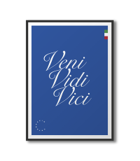 Veni Vidi Vici poster